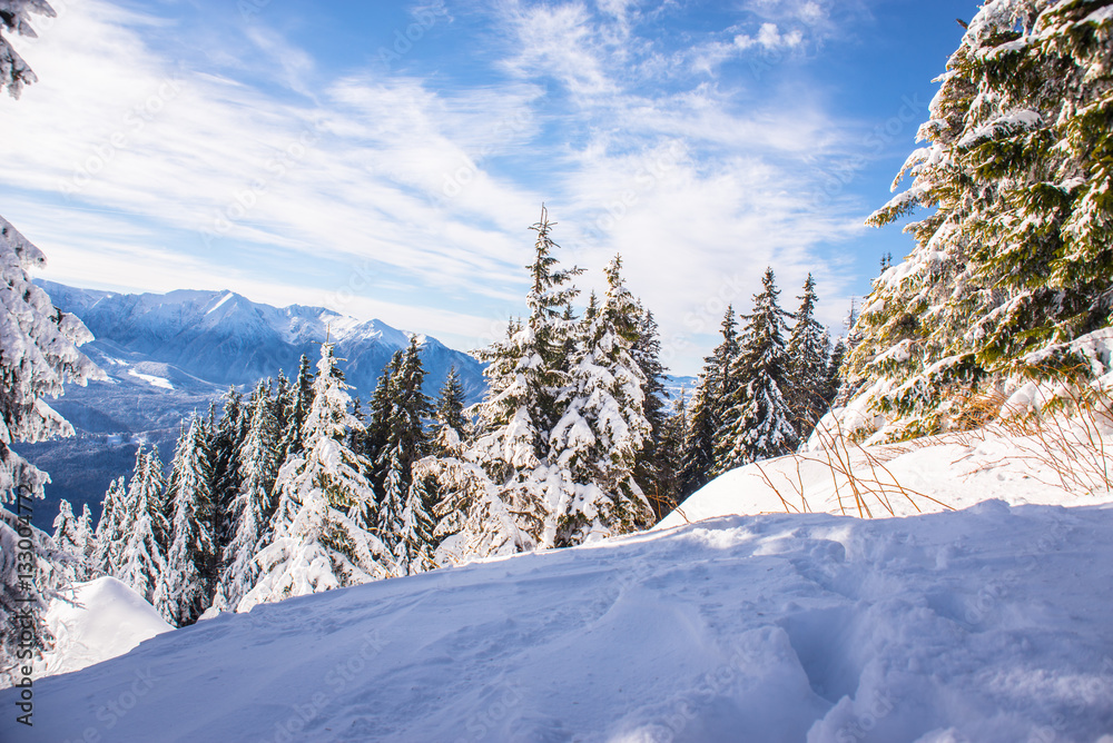 Fototapeta premium Mountain ski resort, Romania,Transylvania, Brasov, Poiana Brasov