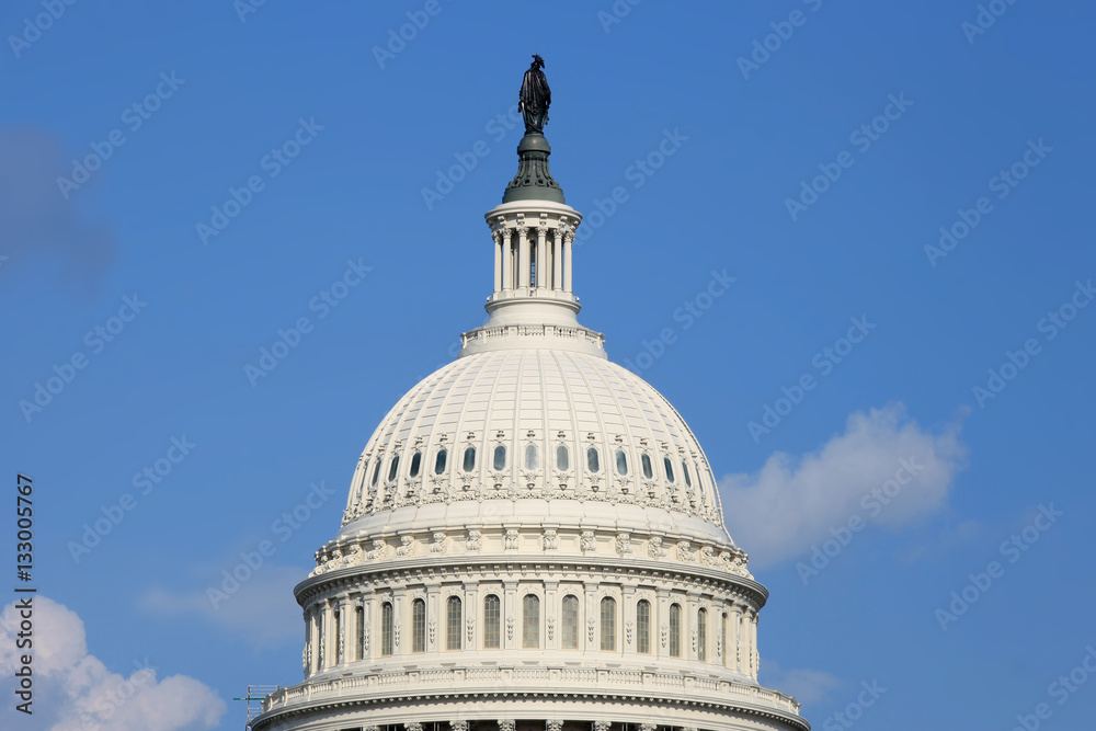 Fototapeta premium US Capitol Building Dome detail