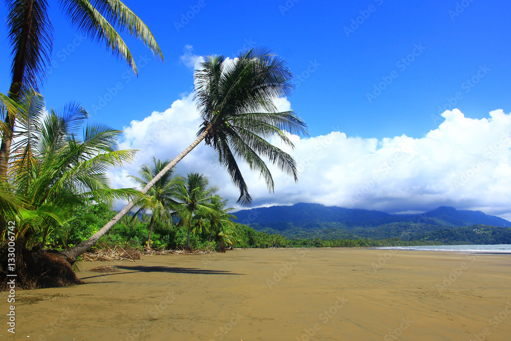 View on a exotic beach, on the Pacific coast, Natioanl park Marino Balleno, Costa Rica, Central America