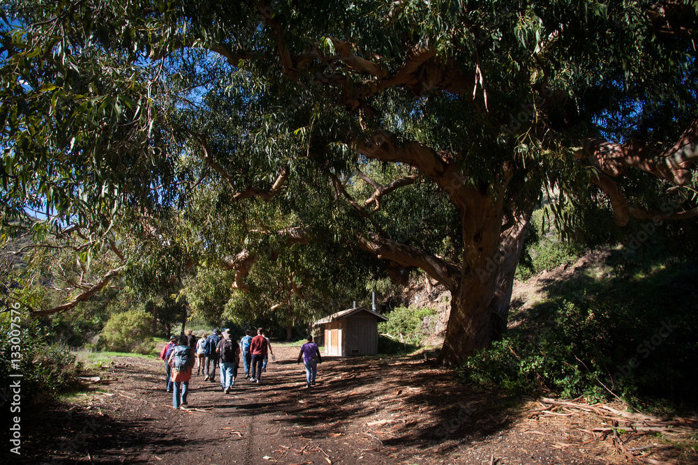 Fototapeta premium Hikers on Santa Cruz Island