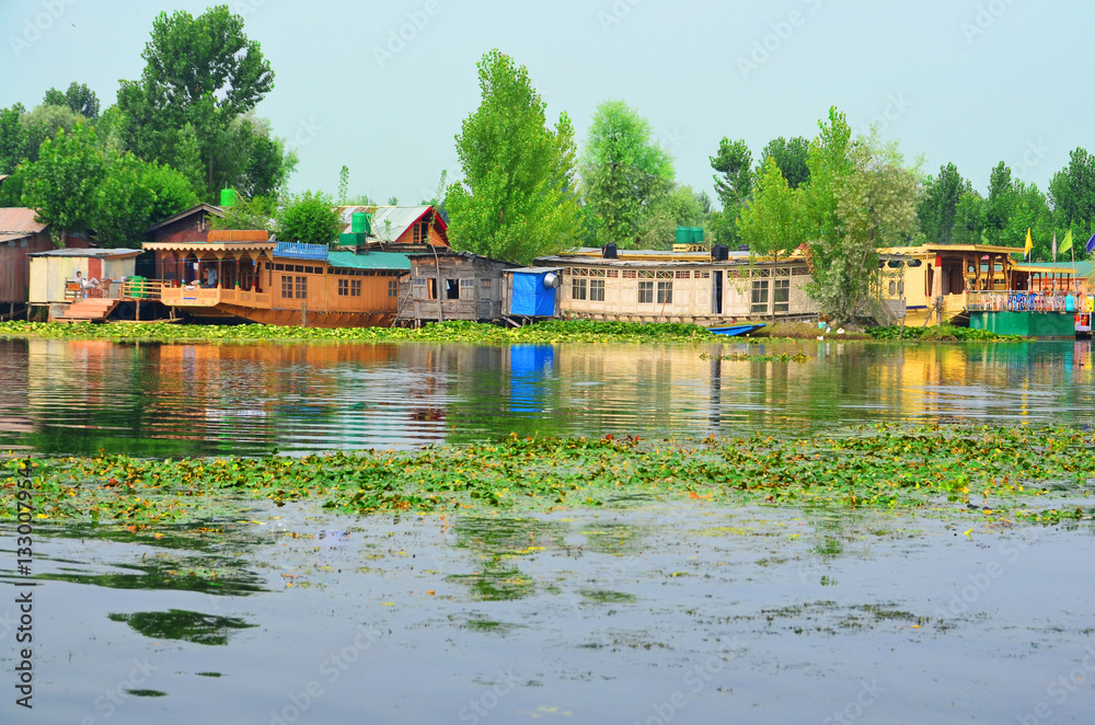 Lake Dal in Srinagar in Kashmir with houseboats
