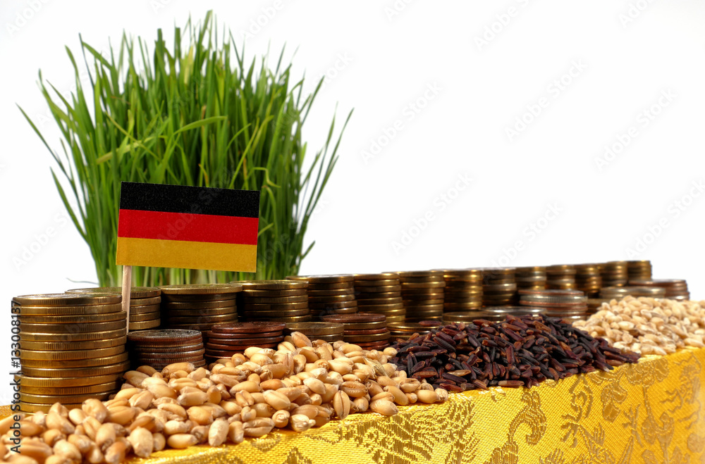 Germany flag waving with stack of money coins and piles of wheat