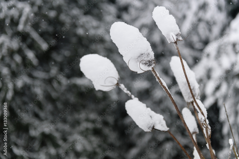 A view of SE Portland Oregon in Historic Snow storm in 2017 A view of SE Portland Oregon in Historic Snow storm in 2017