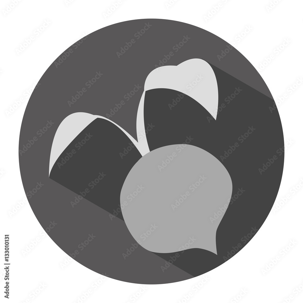 beet vegetable icon image vector illustration design beet vegetable icon image vector illustration design