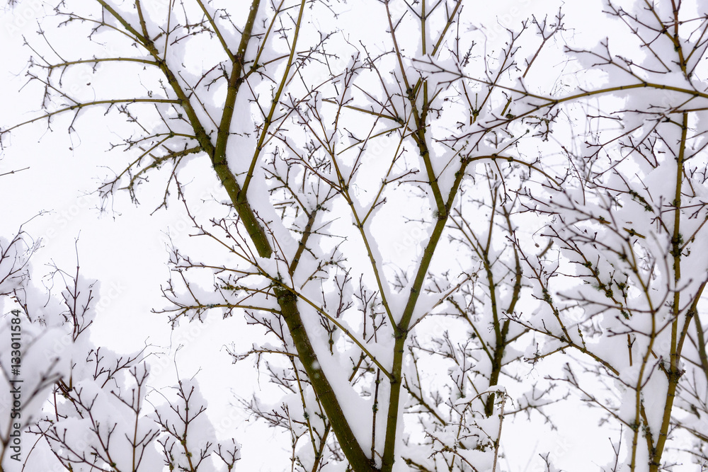 A view of SE Portland Oregon in Historic Snow storm in 2017 A view of SE Portland Oregon in Historic Snow storm in 2017