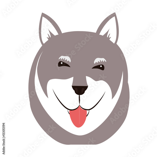 cute dog face icon over white background. colorful design. vector illustration