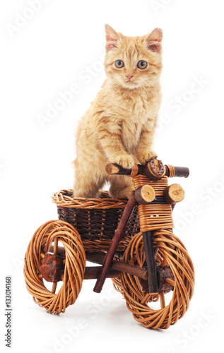 Red kitten on toy bike.