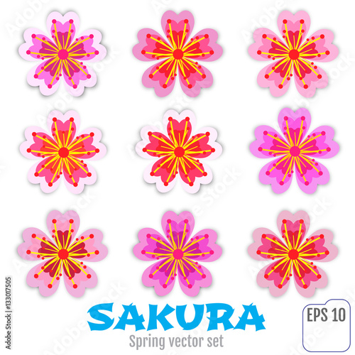 Cherry pink flower, spring sakura blossom vector icon set