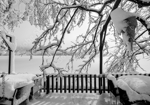 snow landscape
 photo