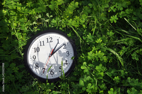 Clock in grass