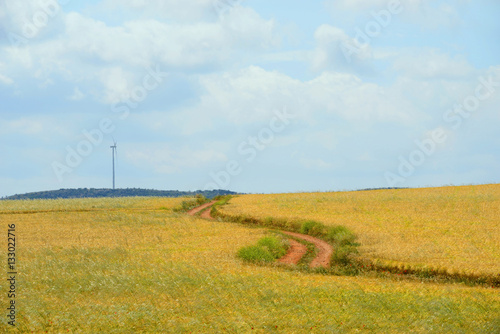 Rural landscape.