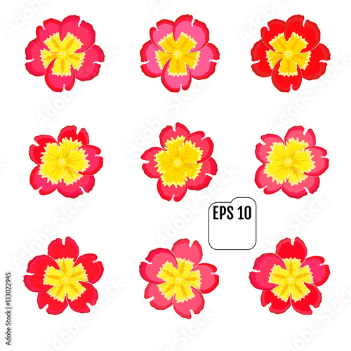Fototapeta Naklejka Na Ścianę i Meble -  Set of primrose blossom spring floral icons. Vector illustration