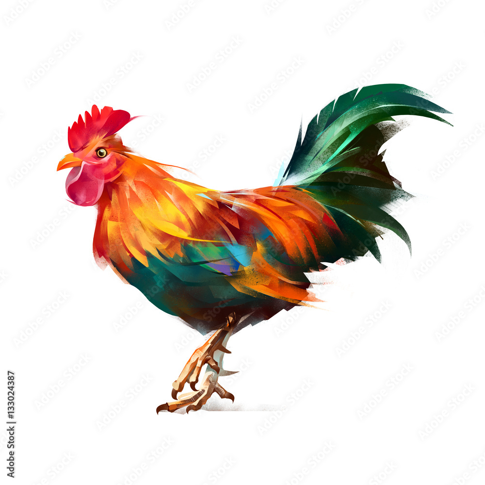 Bright painted rooster isolated on white background