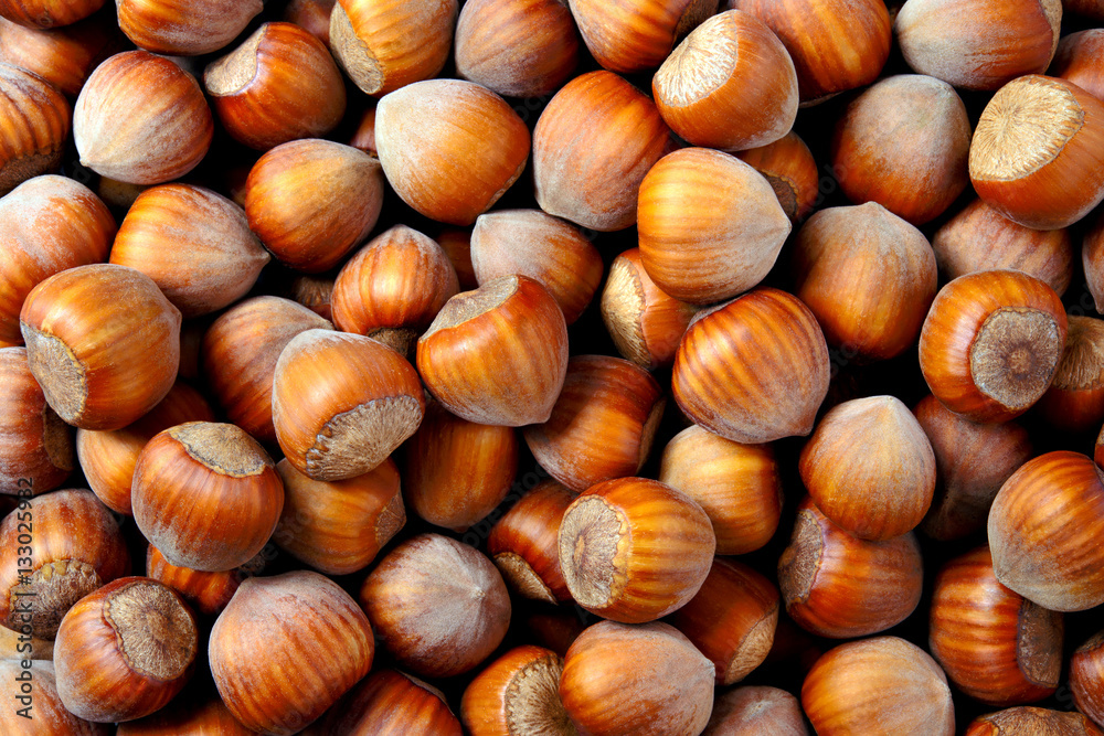 Hazelnut. Fresh organic filbert. Nuts macro. Food background. Hazelnut. Fresh organic filbert. Nuts macro. Food background.