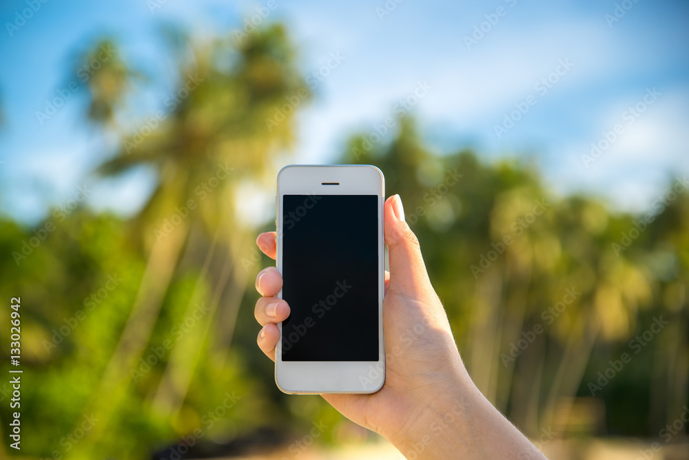 hand holding the phone in a nature background