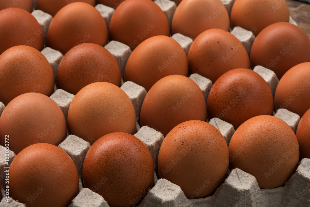 close up of eggs in egg nest. shallow depth of field. close up of eggs in egg nest. shallow depth of field.