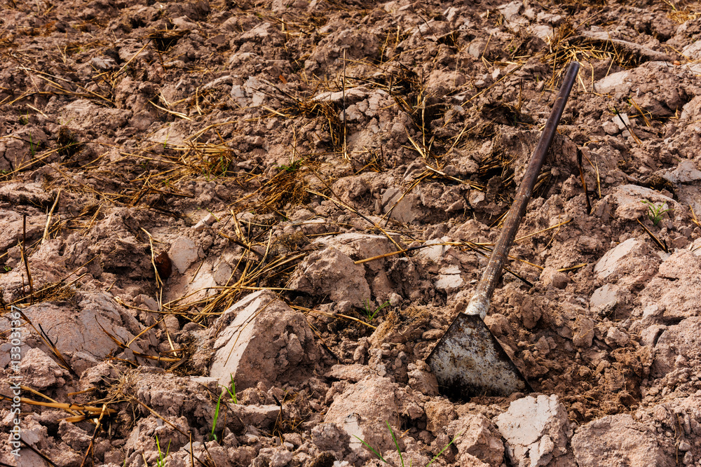 equipment of farmer with ground on farm. copy space for text. equipment of farmer with ground on farm. copy space for text.