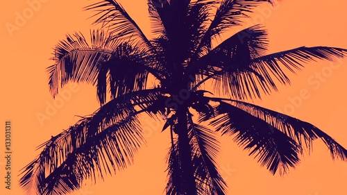 Dreamscene of Colorful Palms Flowing by in Slow Motion