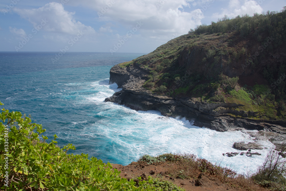 Kīlauea Point National Wildlife