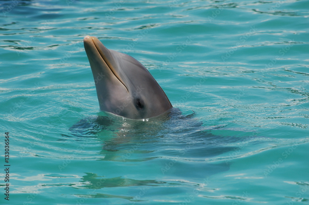 Obraz premium hello friend