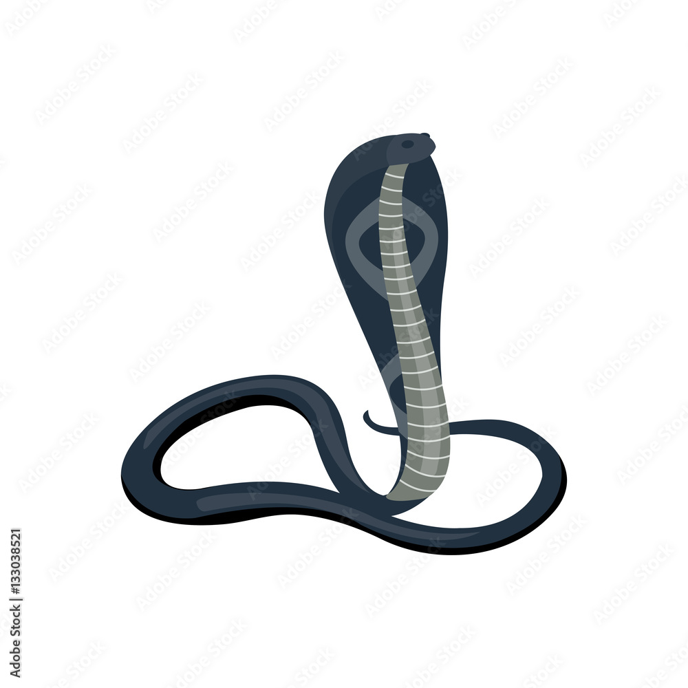 Fototapeta premium Snake reptile cartoon vector