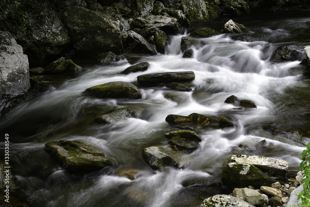 Smokies Stream Smokies Stream