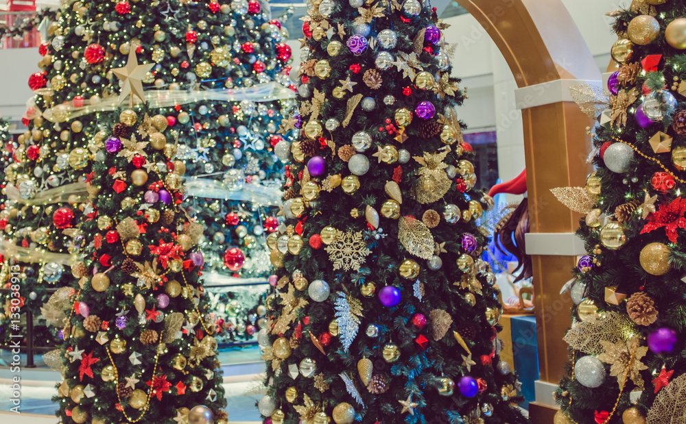 christmas trees christmas trees