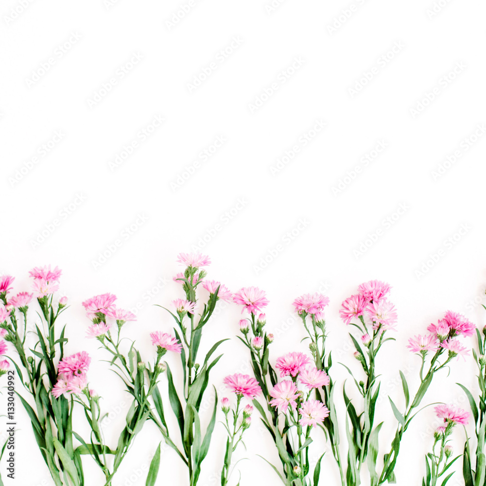 Pink wildflowers on white background. Flat lay, top view. Creative nature concept