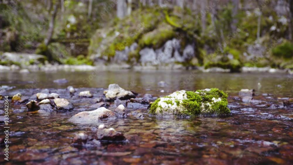 Shallow river running around small rocks with moss 4K
Shallow river running around small rocks with moss 4K