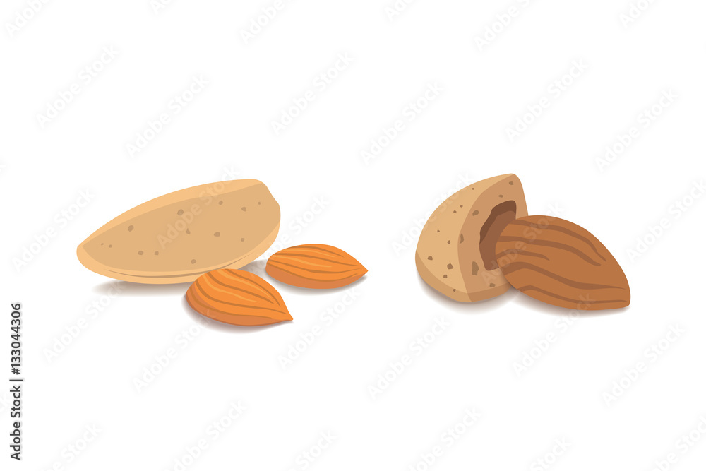 Vector collection of cartoon isolated almond. helthy nuts vegeterian food Vector collection of cartoon isolated almond. helthy nuts vegeterian food