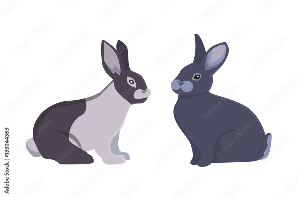 Fototapeta premium vector illustration of cartoon rabbits different breeds. Fine bunnys for veterinary design