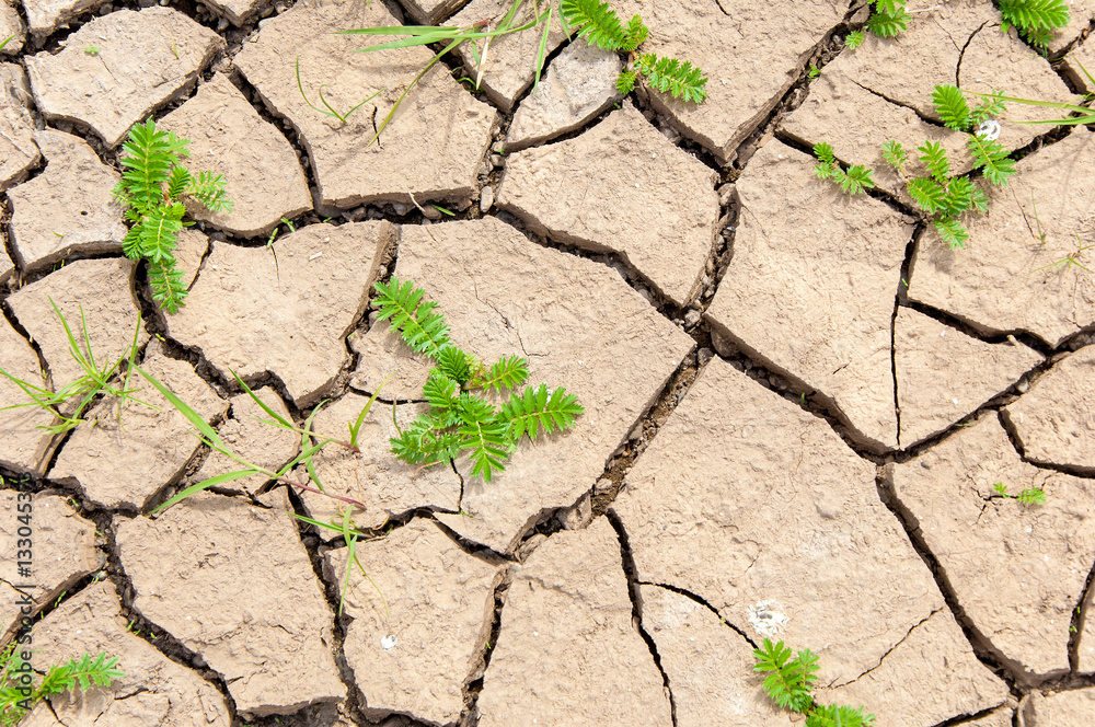 Background, Texture. Cracks in the ground soil erosion. the pro Stock