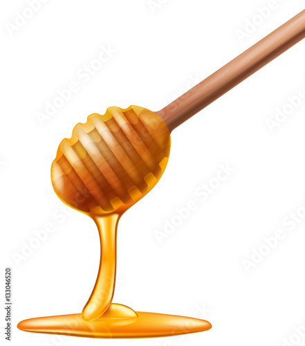 Wooden honey dipper, vector illustration.