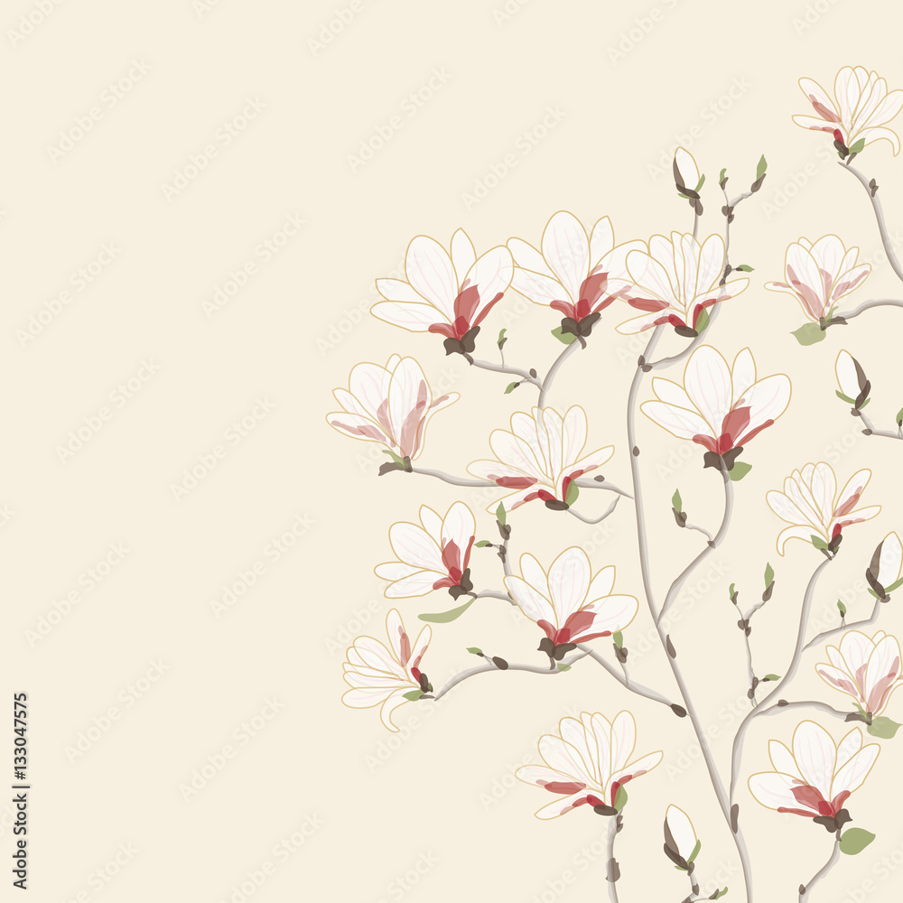 背景イラスト 木蓮 Stock ベクター Adobe Stock