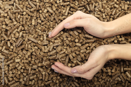 Human hand holding solid wooden pellets