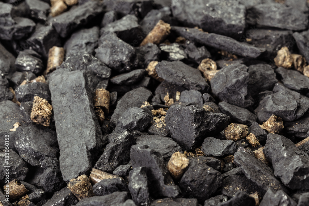 Fotografie Coal and biomass pellet