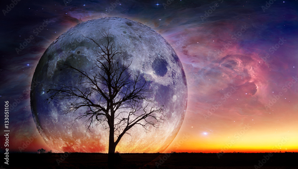 Obraz premium Fantasy krajobraz - Lonely sylwetka nagiego drzewa z ogromną planetą rosnącą za nim i galaktyki na niebie. Elementy tego obrazu są dostarczane przez NASA