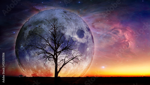 Fantasy landscape - Lonely bare tree silhouette with huge planet rising behind it and galaxy in the sky. Elements of this image are furnished by NASA