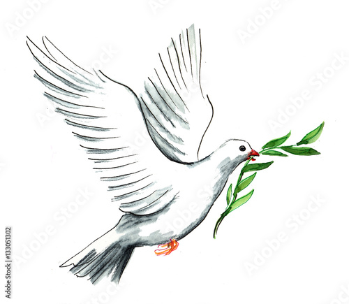 Dove of peace photo