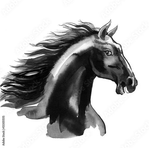 Black horse sketch