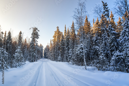 морозный солнечный день в уральском лесу с проселочной дорогой, Россия, январь