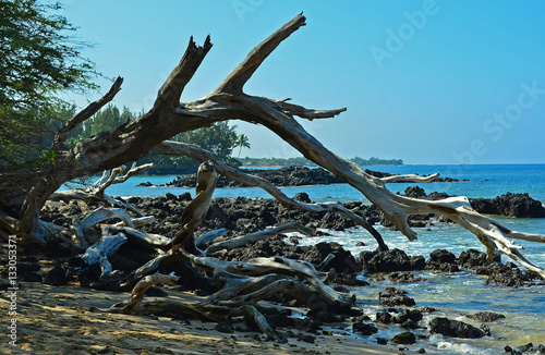 Hawaii-Big Island, Kona