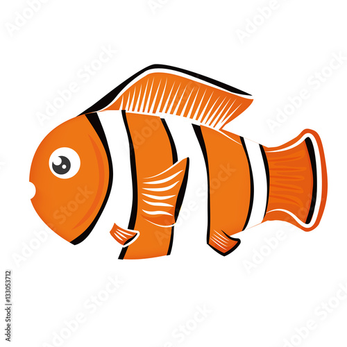 multi color clownfish icon image vector illustration design 