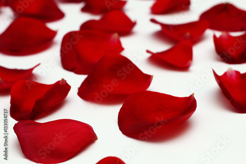 Fototapeta Naklejka Na Ścianę i Meble -  Bright red rose petals on a white wooden table.