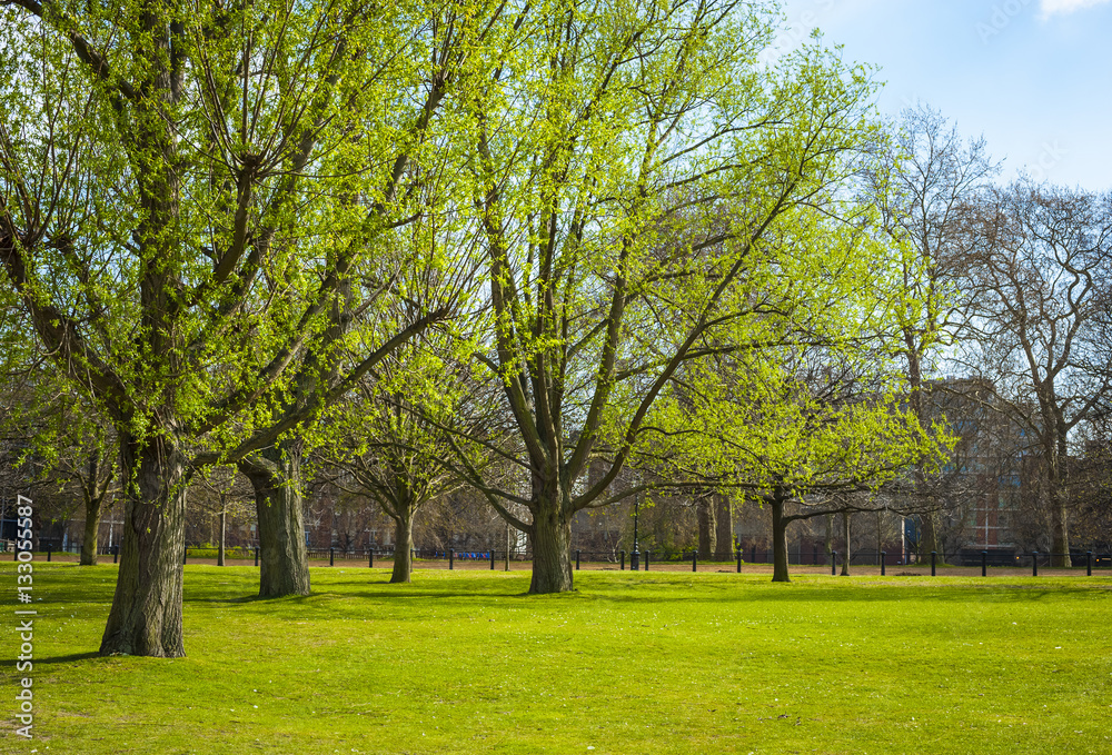 Spring in London Park