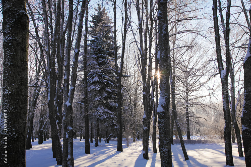 Cold winter Cold winter