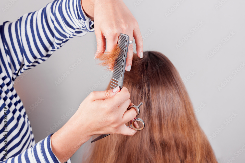 Hairdresser combing brown-haired person holding scissors in hand Hairdresser combing brown-haired person holding scissors in hand