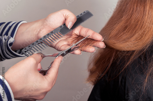 hairdresser cuts brown-haired person hair holding a hairbrush
