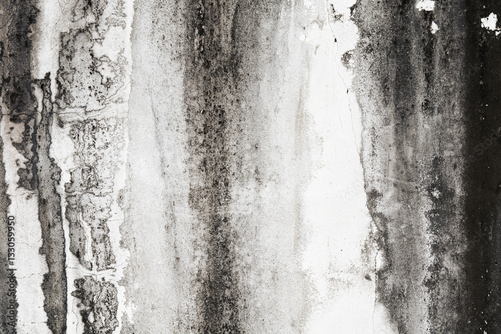 Fototapeta premium old wall cement background