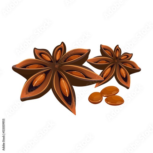 Anise star isolated on white. Stars shaped fruit of Illicium verum